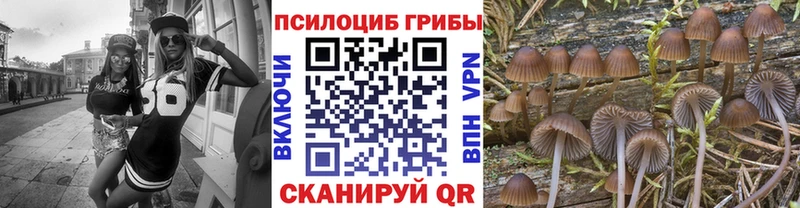 Псилоцибиновые грибы мухоморы  Курильск 